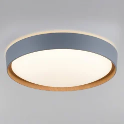 Loftlamper|Loftlamper ^ Q-Smart-Home Paul Neuhaus Q-EMILIA LED-loftslampe, grå/træ