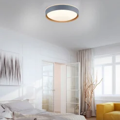 Loftlamper|Loftlamper ^ Q-Smart-Home Paul Neuhaus Q-EMILIA LED-loftslampe, grå/træ