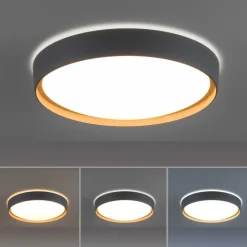 Loftlamper|Loftlamper ^ Q-Smart-Home Paul Neuhaus Q-EMILIA LED-loftslampe, grå/træ