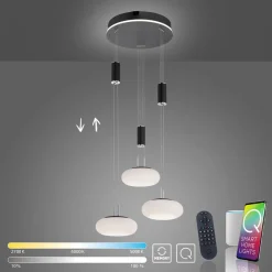 Pendellamper ^ Q-Smart-Home Paul Neuhaus Q-ETIENNE hængelampe rondel, sort