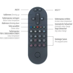 Pendellamper ^ Q-Smart-Home Paul Neuhaus Q-ETIENNE hængelampe rondel, sort