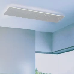 Q-Smart-Home Loftlamper > Paul Neuhaus Q-NIGHTSKY LED-loftlampe 100 x 25 cm