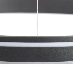 Q-Smart-Home Pendellamper > Paul Neuhaus Q-VITO LED-hengelampe 59 cm antracit