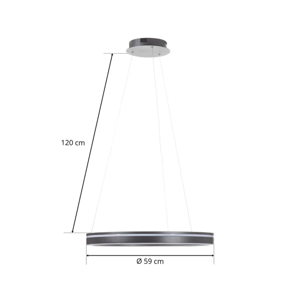 Q-Smart-Home Pendellamper > Paul Neuhaus Q-VITO LED-hengelampe 59 cm antracit
