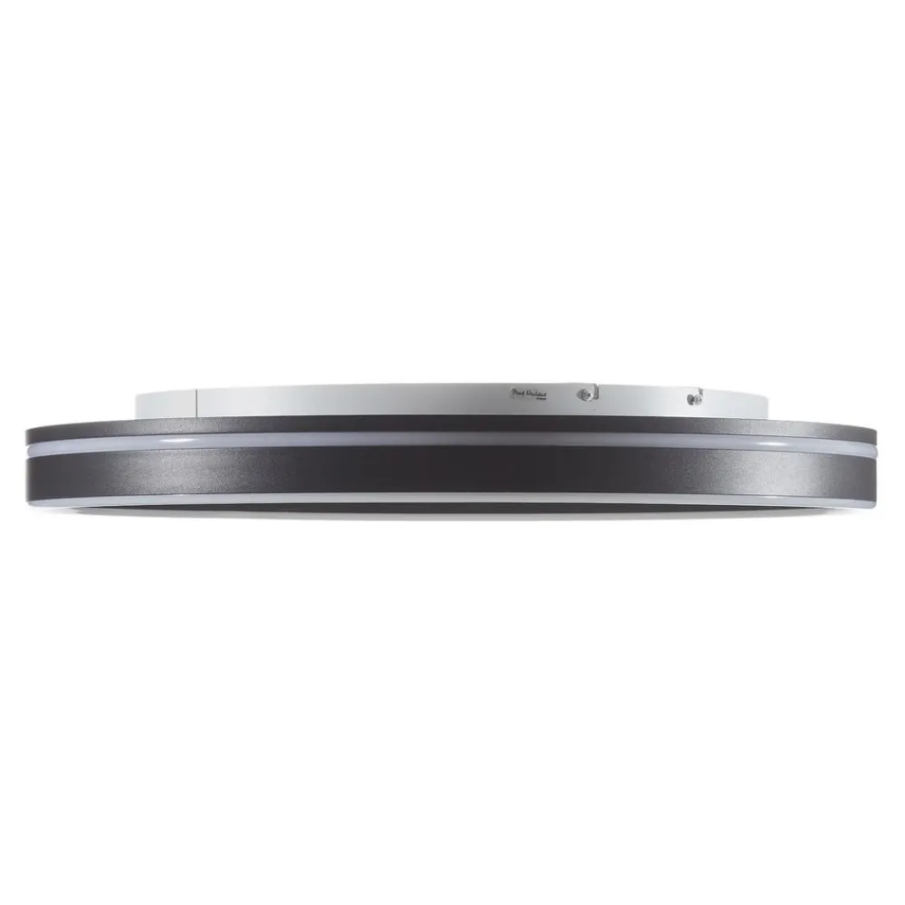 Q-Smart-Home Loftlamper > Paul Neuhaus Q-VITO LED-loftlampe 59 cm antracit