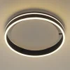Q-Smart-Home Loftlamper > Paul Neuhaus Q-VITO LED-loftslampe 40 cm antracit