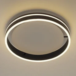 Q-Smart-Home Loftlamper > Paul Neuhaus Q-VITO LED-loftslampe 40 cm antracit