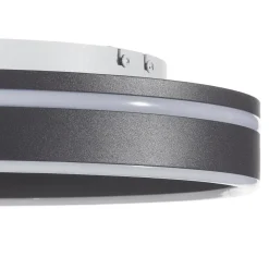 Q-Smart-Home Loftlamper > Paul Neuhaus Q-VITO LED-loftslampe 40 cm antracit