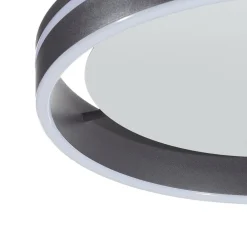 Q-Smart-Home Loftlamper > Paul Neuhaus Q-VITO LED-loftslampe 40 cm antracit