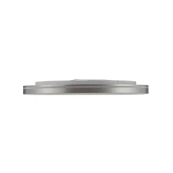 Q-Smart-Home Loftlamper|Loftlamper > Paul Neuhaus Q-VITO LED-loftslampe 79 cm stål