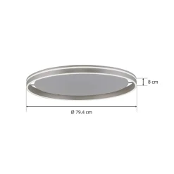 Q-Smart-Home Loftlamper|Loftlamper > Paul Neuhaus Q-VITO LED-loftslampe 79 cm stål