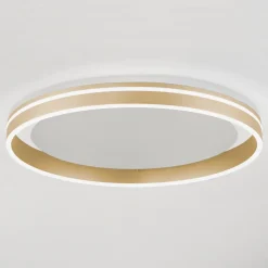 Q-Smart-Home Loftlamper|Loftlamper > Paul Neuhaus Q-VITO LED-loftslampe, Ø 60 cm