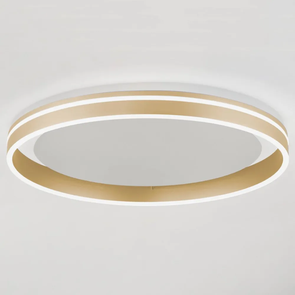 Q-Smart-Home Loftlamper|Loftlamper > Paul Neuhaus Q-VITO LED-loftslampe, Ø 60 cm