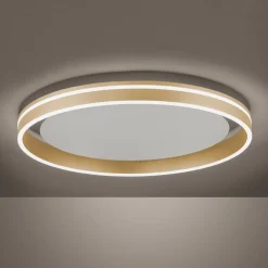 Q-Smart-Home Loftlamper|Loftlamper > Paul Neuhaus Q-VITO LED-loftslampe, Ø 60 cm
