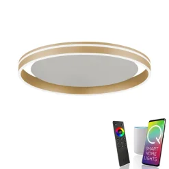 Q-Smart-Home Loftlamper|Loftlamper > Paul Neuhaus Q-VITO LED-loftslampe, Ø 60 cm