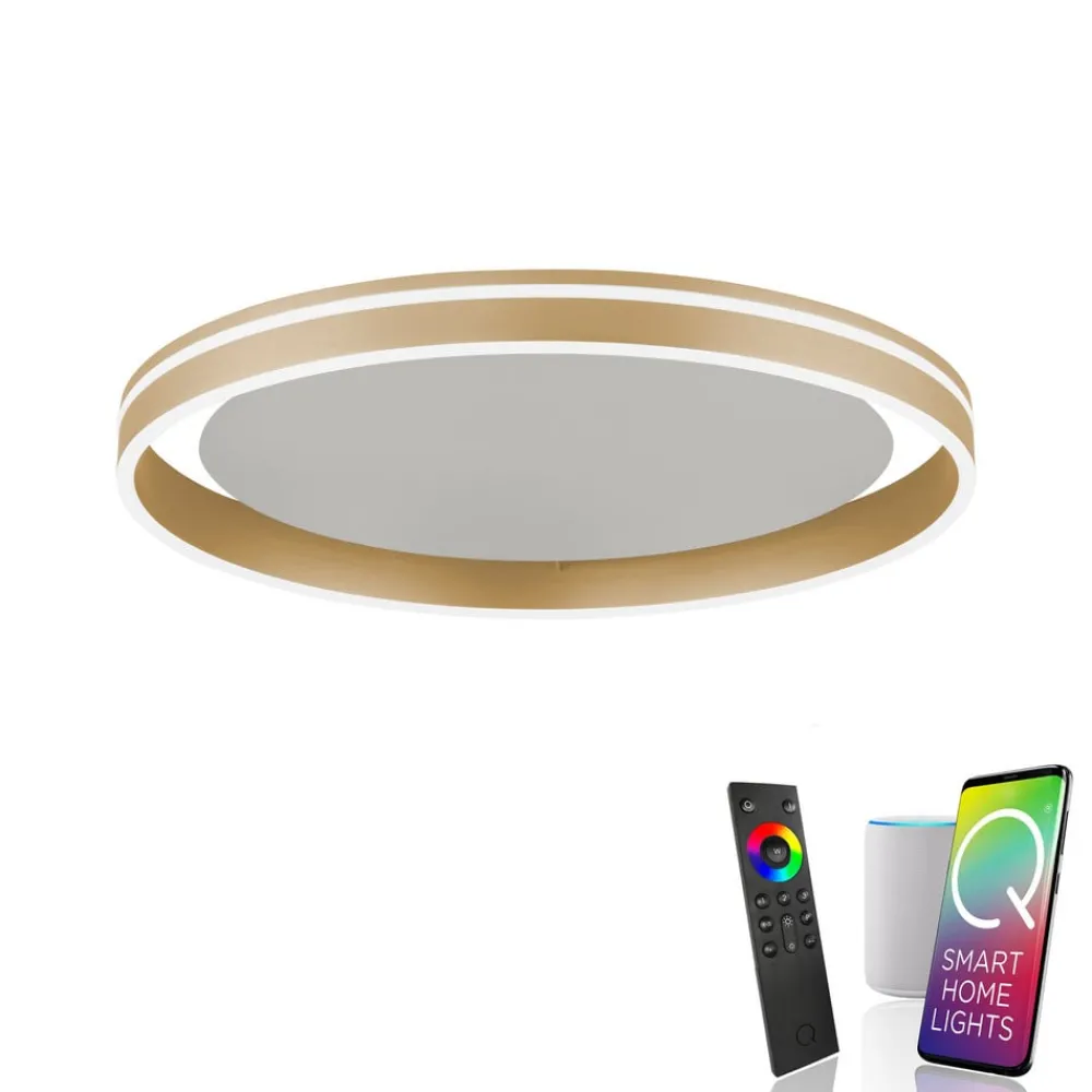 Q-Smart-Home Loftlamper|Loftlamper > Paul Neuhaus Q-VITO LED-loftslampe, Ø 60 cm