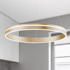Q-Smart-Home Pendellamper > Paul Neuhaus Q-VITO LED-pendellampe, 1 ring