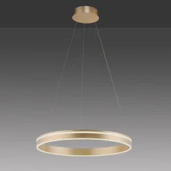 Q-Smart-Home Pendellamper > Paul Neuhaus Q-VITO LED-pendellampe, 1 ring