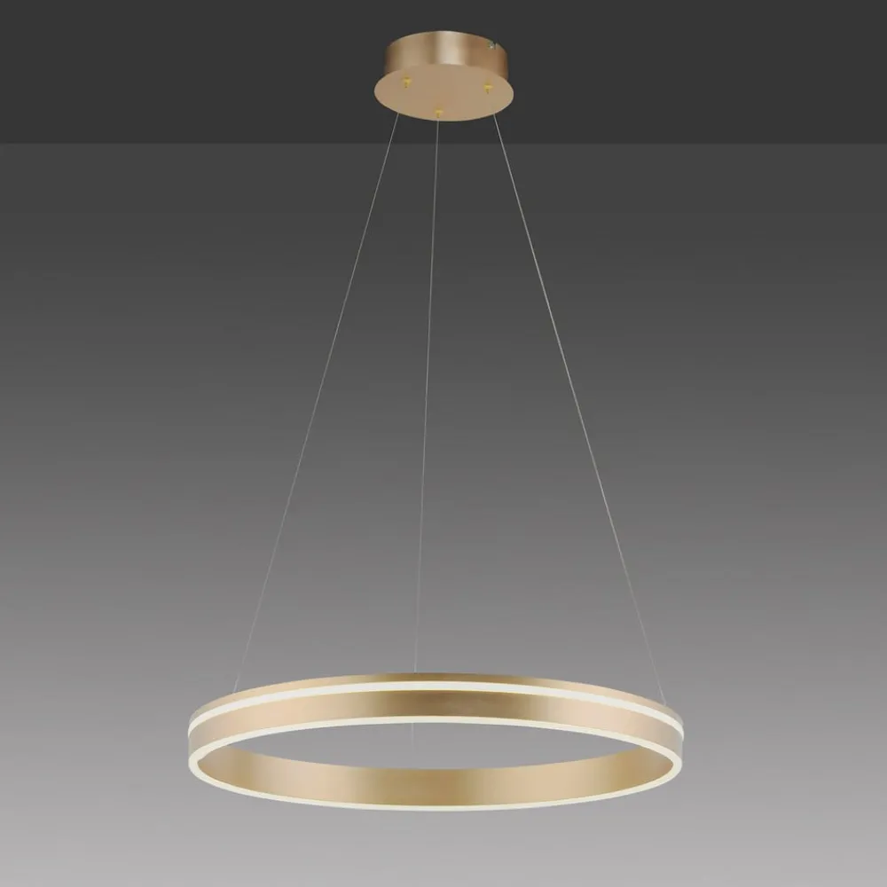 Q-Smart-Home Pendellamper > Paul Neuhaus Q-VITO LED-pendellampe, 1 ring