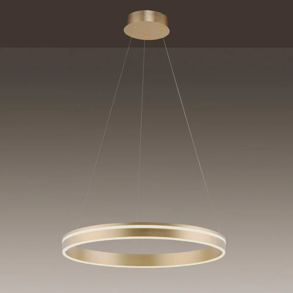 Q-Smart-Home Pendellamper > Paul Neuhaus Q-VITO LED-pendellampe, 1 ring