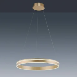 Q-Smart-Home Pendellamper > Paul Neuhaus Q-VITO LED-pendellampe, 1 ring