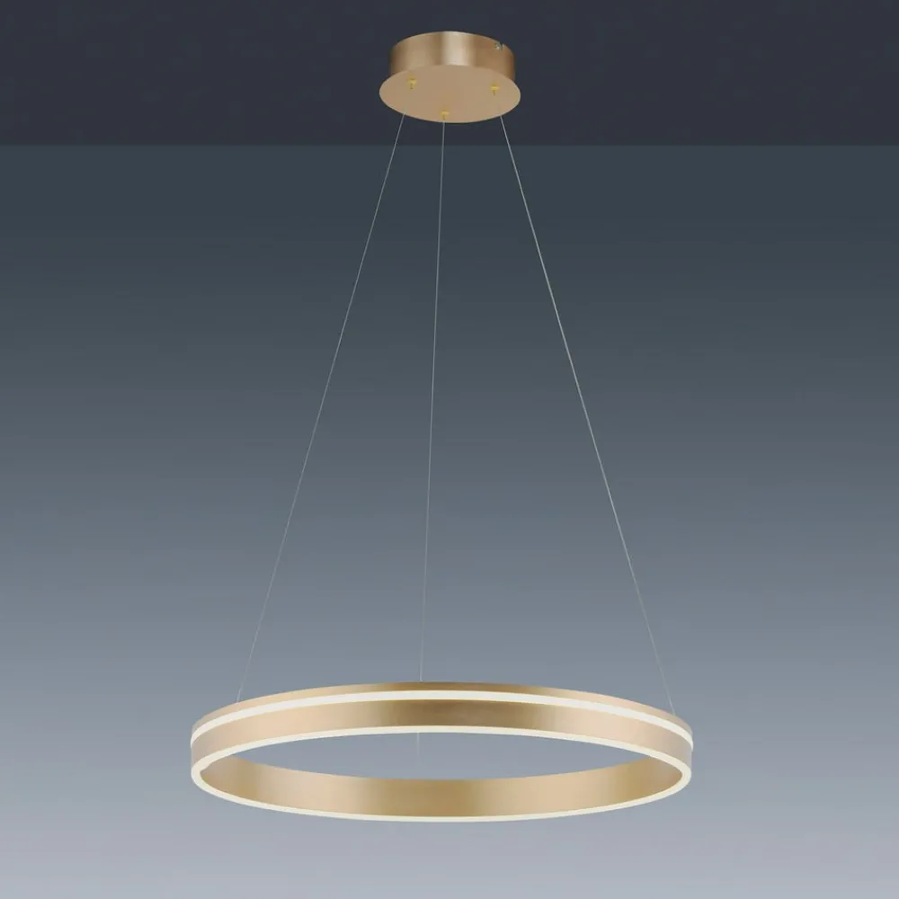 Q-Smart-Home Pendellamper > Paul Neuhaus Q-VITO LED-pendellampe, 1 ring