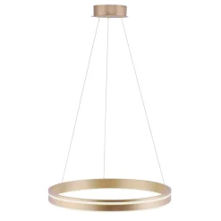 Q-Smart-Home Pendellamper > Paul Neuhaus Q-VITO LED-pendellampe, 1 ring