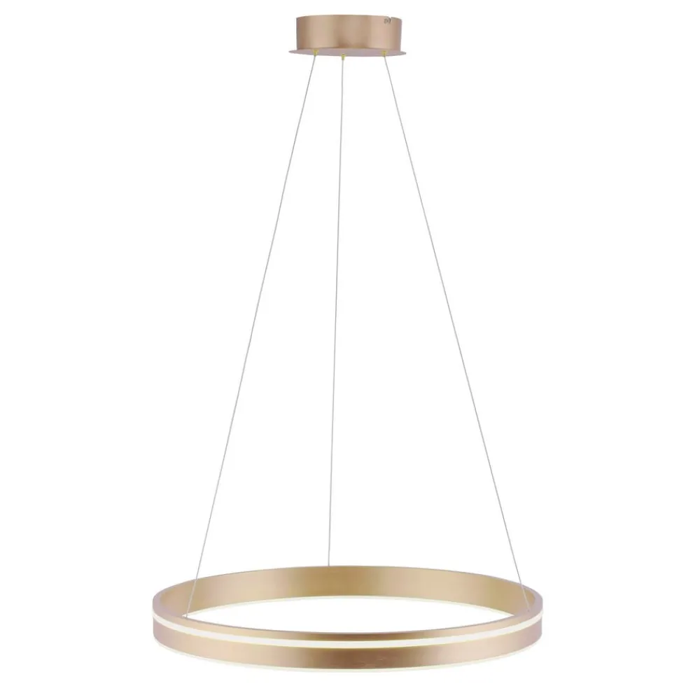 Q-Smart-Home Pendellamper > Paul Neuhaus Q-VITO LED-pendellampe, 1 ring