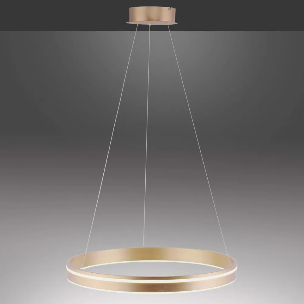 Q-Smart-Home Pendellamper > Paul Neuhaus Q-VITO LED-pendellampe, 1 ring