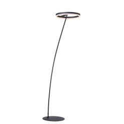 Paul Neuhaus Gulvlamper > Titus LED-gulvlampe antracit dæmper