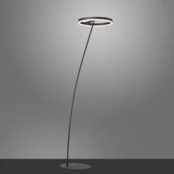 Paul Neuhaus Gulvlamper > Titus LED-gulvlampe antracit dæmper