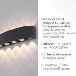 Paul Neuhaus Terrassebelysning > udendørs LED-væglampe Carlo, 27 cm, sort
