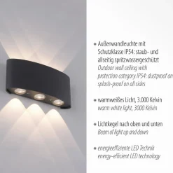 Terrassebelysning|Væglamper ^ Paul Neuhaus udendørs LED-væglampe Carlo, 17 cm, sort