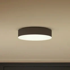 Philips Hue Loftlamper > Enrave LED-loftslampe 26,1 cm sort