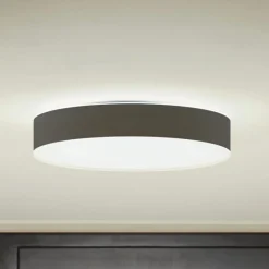 Loftlamper|Loftlamper ^ Philips Hue Enrave LED-loftslampe 38,1 cm sort