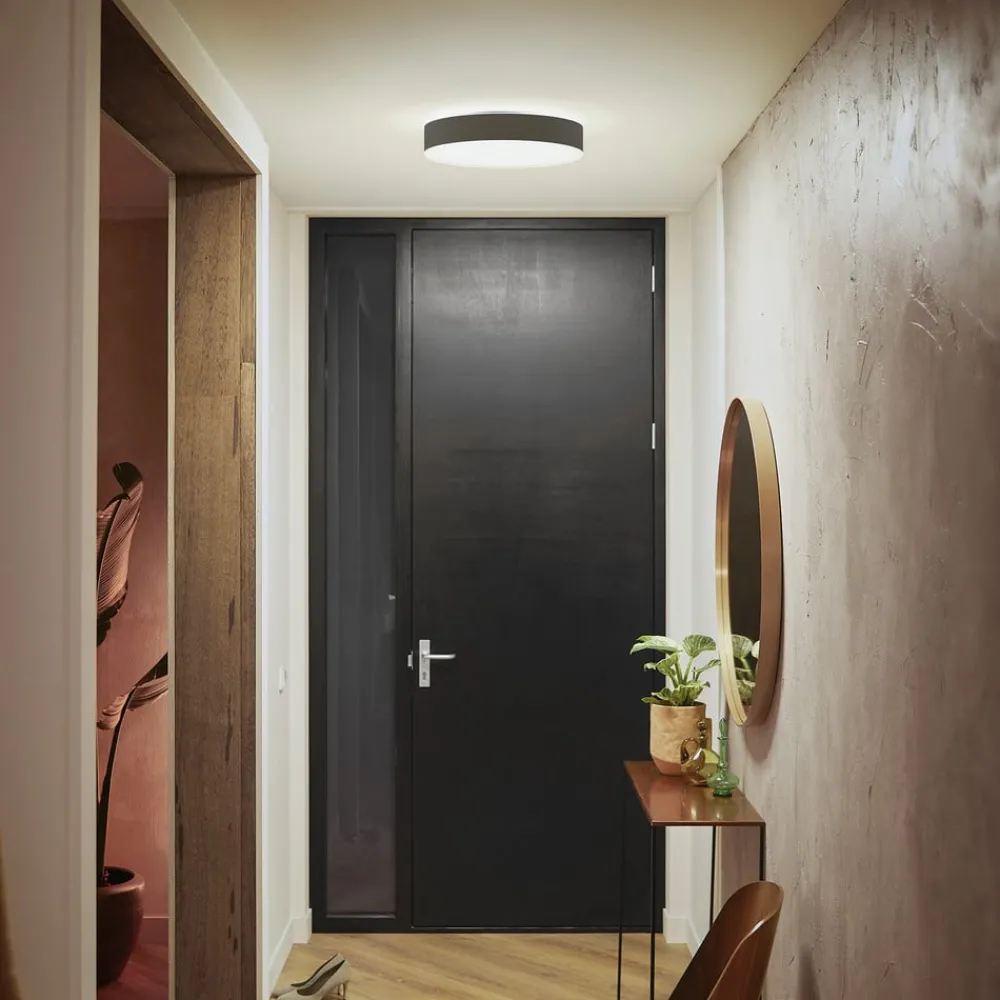 Loftlamper|Loftlamper ^ Philips Hue Enrave LED-loftslampe 38,1 cm sort