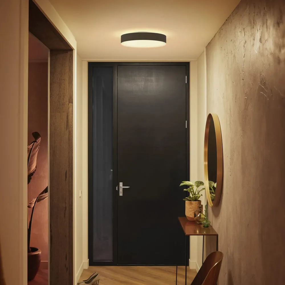 Loftlamper|Loftlamper ^ Philips Hue Enrave LED-loftslampe 38,1 cm sort