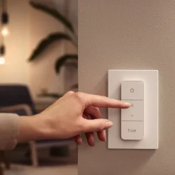 Loftlamper|Loftlamper ^ Philips Hue Enrave LED-loftslampe 38,1 cm sort