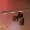 Philips Hue Pendellamper > Ensis LED-hængelampe, RGBW