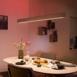 Philips Hue Pendellamper > Ensis LED-hængelampe, RGBW