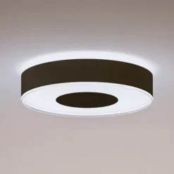 Loftlamper ^ Philips Hue Infuse LED-loftslampe, 38,1 cm, sort, dæmpbar.