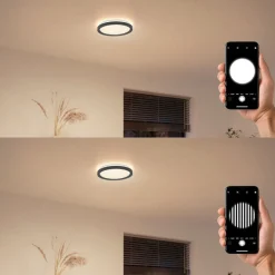 Philips Arbejdsrum/Kontor|Loftlamper > LED-loftlampe Aio RD sort Ø 30 cm fjernbetjening