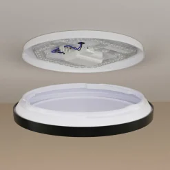 Philips Arbejdsrum/Kontor|Loftlamper > LED-loftlampe Aio RD sort Ø 30 cm fjernbetjening
