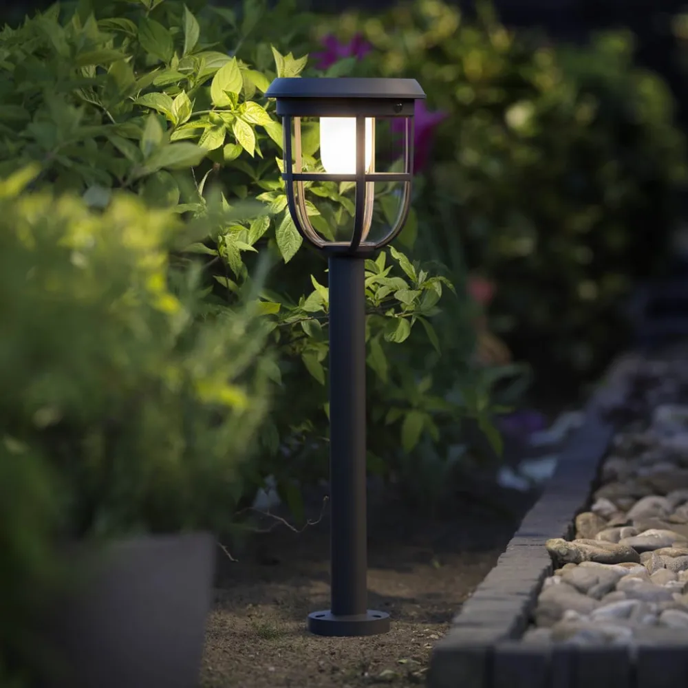 Solcelle Lampe Med Sensor|Solcellelamper ^ Philips LED solstibelysning Radier