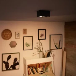 Philips Spotlights|Loftlamper > myLiving Box LED-spot, 2 lyskilder, sort
