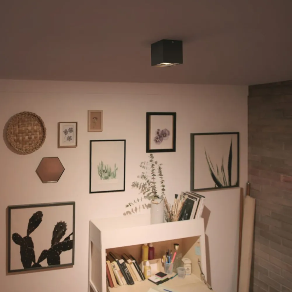 Philips Spotlights > myLiving Box LED-spot, 1 lyskilde, sort