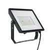 Philips Udendørs Spot > ProjectLine udendørs LED-spot 6.500K 100W