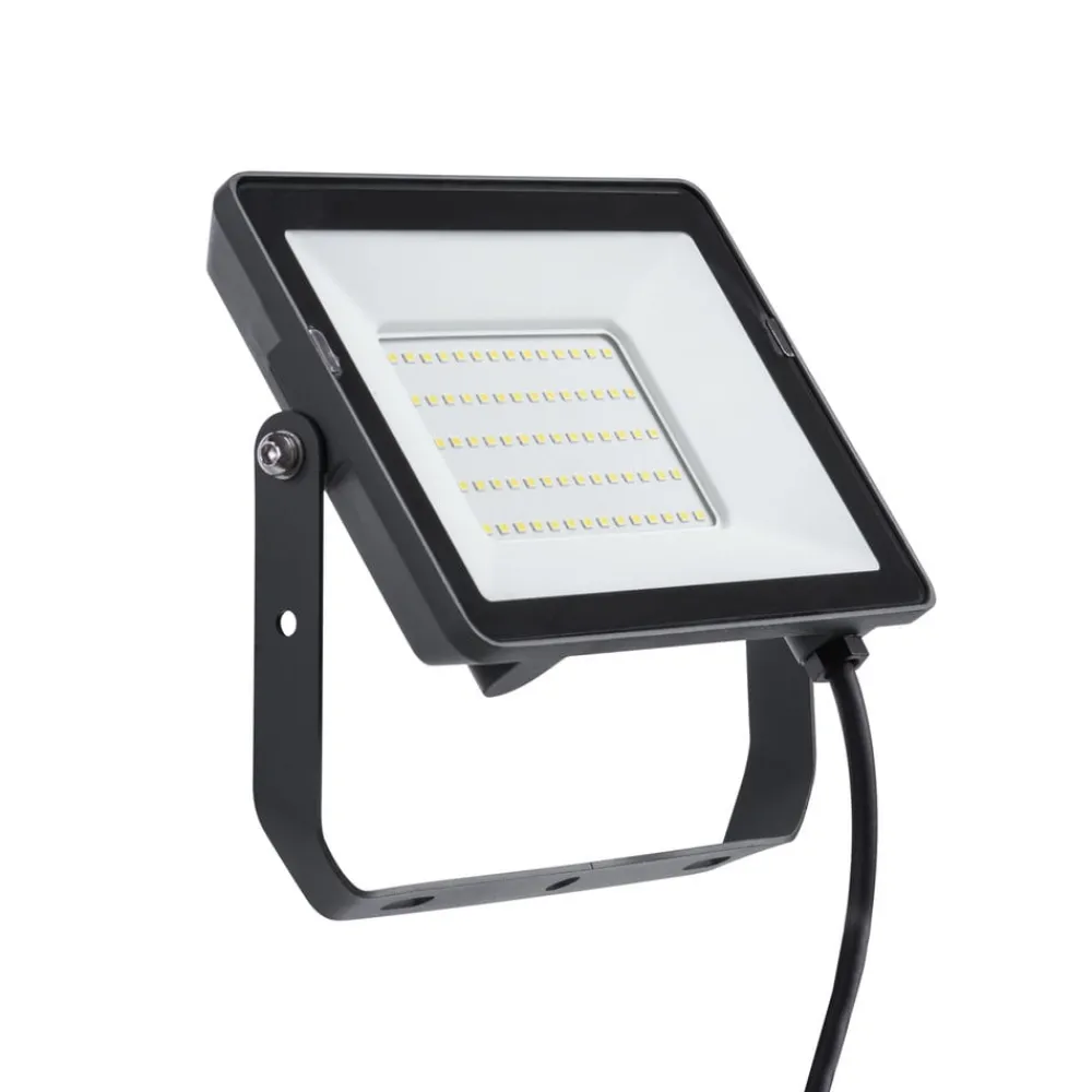Udendørs Spot ^ Philips ProjectLine udendørs LED-spot 6.500K 30W
