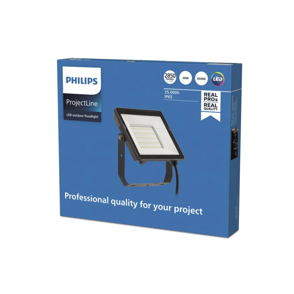 Udendørs Spot ^ Philips ProjectLine udendørs LED-spot 6.500K 30W
