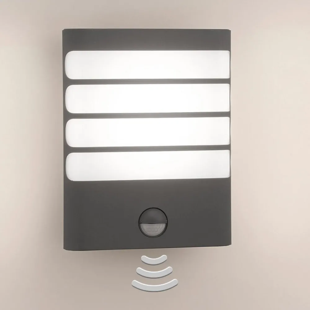 Væglampe Med Sensor ^ Philips Raccoon LED-væglampe antracit